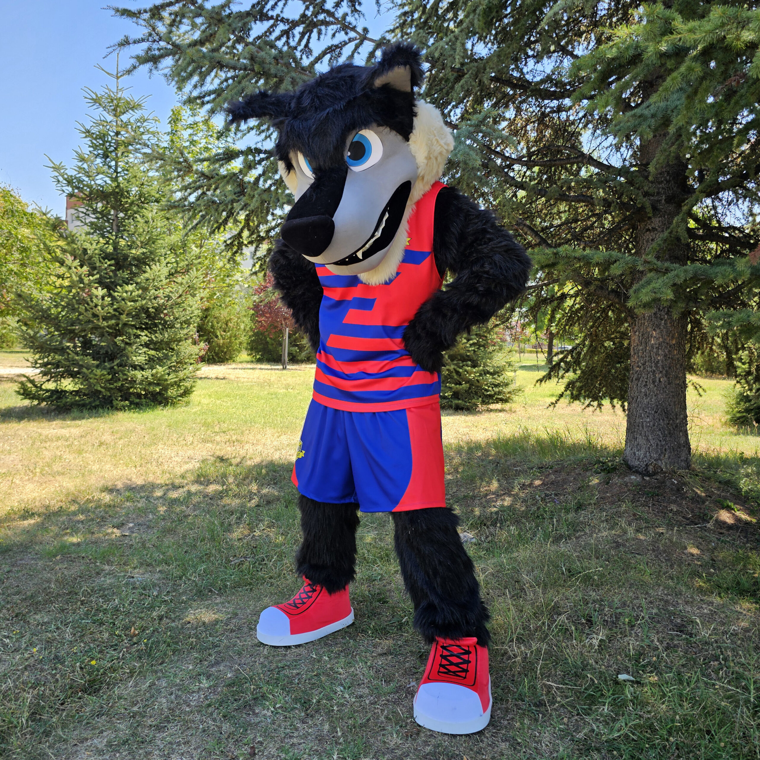 Mascot costumes